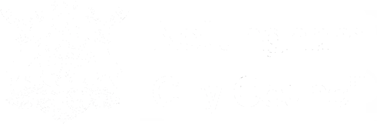 Nottingham City Council Logo