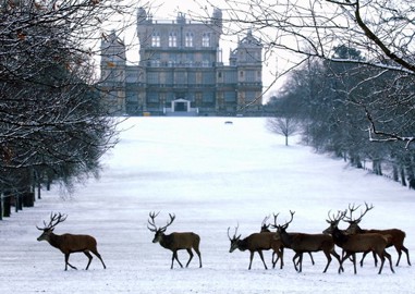 Yellow Cold Health Alert Updated for the East Midlands