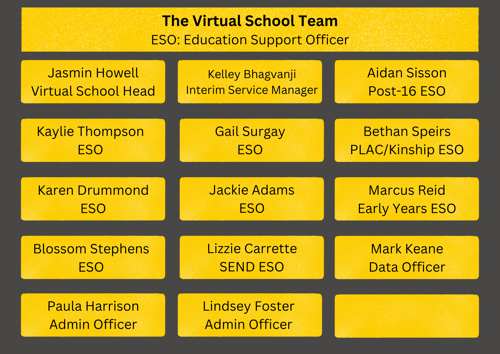 A breakdown of the Virtual School team members